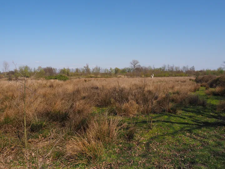 Kalkense Meersen (België)